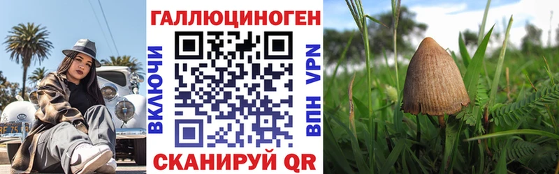 Псилоцибиновые грибы мицелий  Западная Двина 